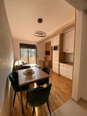 Apartman Nikolić Zlatibor
